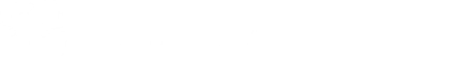 THE CLEAR DENTAL